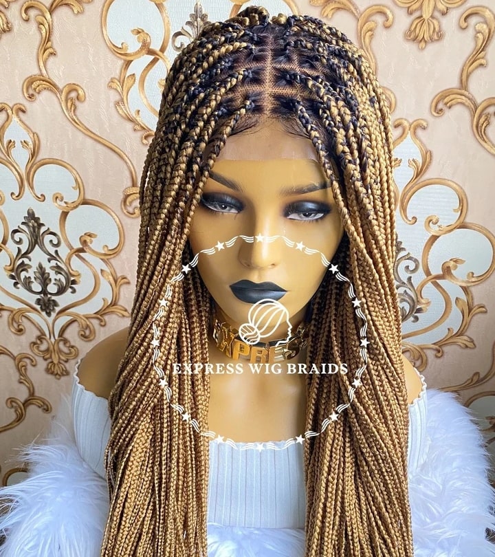 Braided Wigs: Enhancing Style and Versatility with Ease